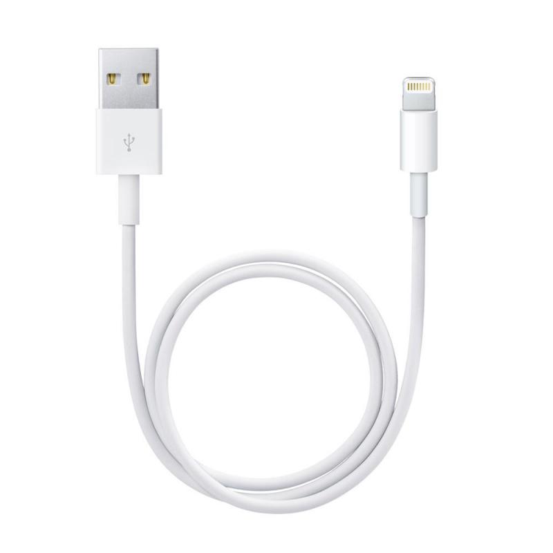 Apple Lightning to USB Cable (0.5 m)