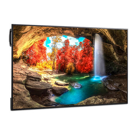 Display LED 65" NEC MultiSync® ME652, UHD, IPS with Direct LED backlights, 450 cd/m², 18/7, media player, Android 13