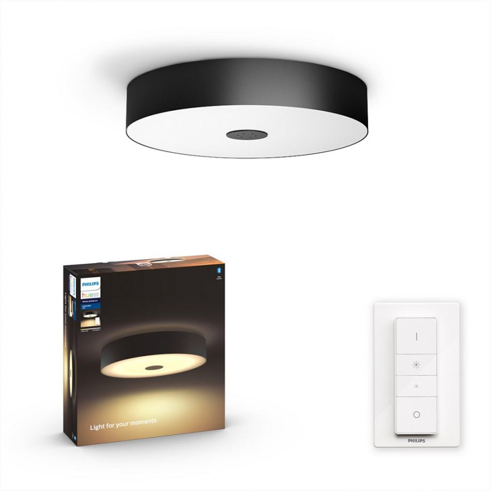 FAIR HUE CEILING LAMP BLACK 1X33.5W 24V