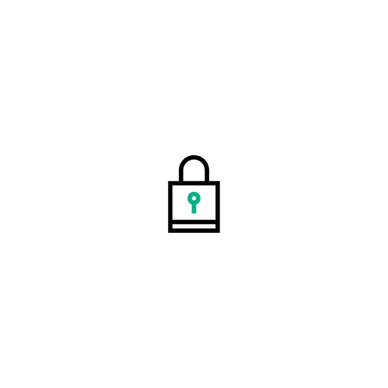 HPE Smart Array SR Secure Encryption (Data at Rest Encryption/per Server Entitlement) E-LTU