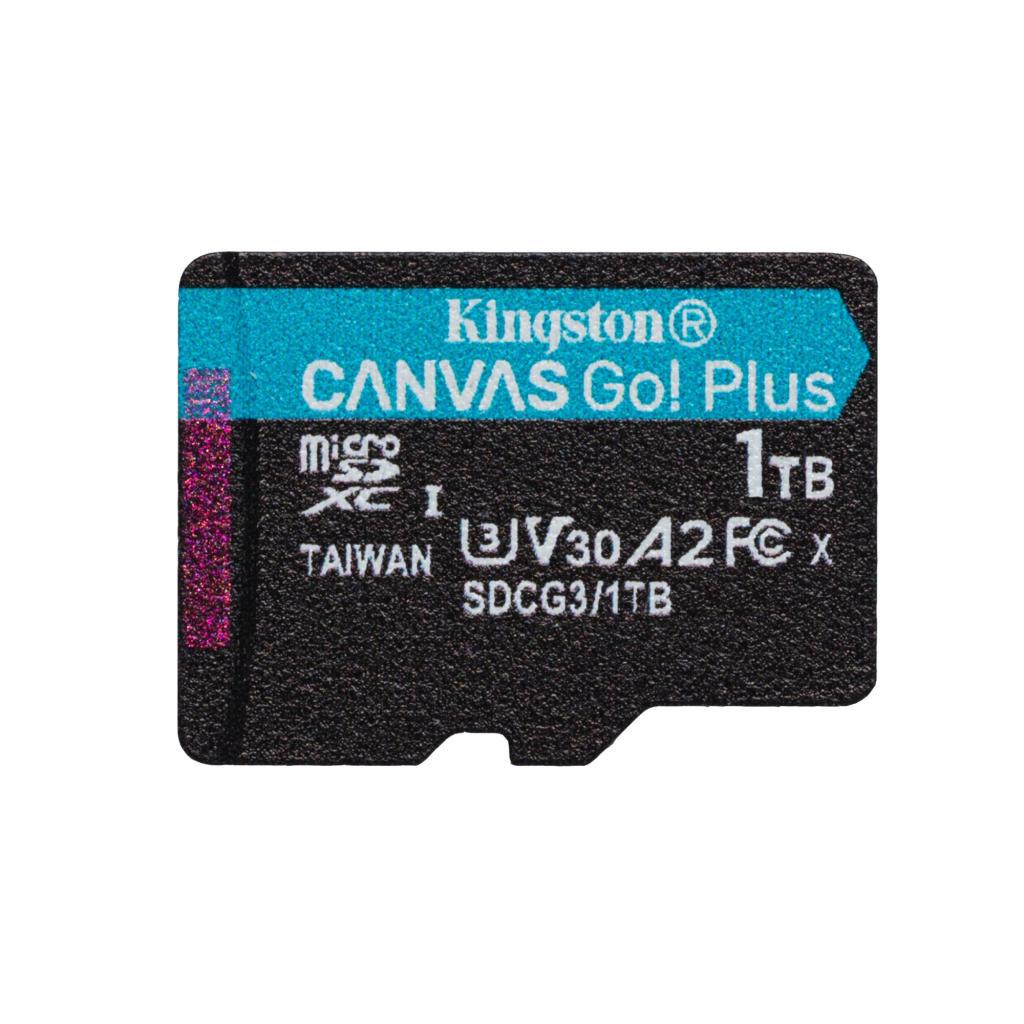 Card de Memirie KINGSTON, 1TB, Canvas GO Plus,