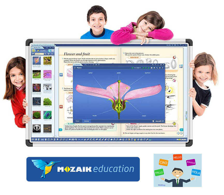 Software Mozabook MULTILANG , lectii interactive in timp real, licenta 1 / 1an