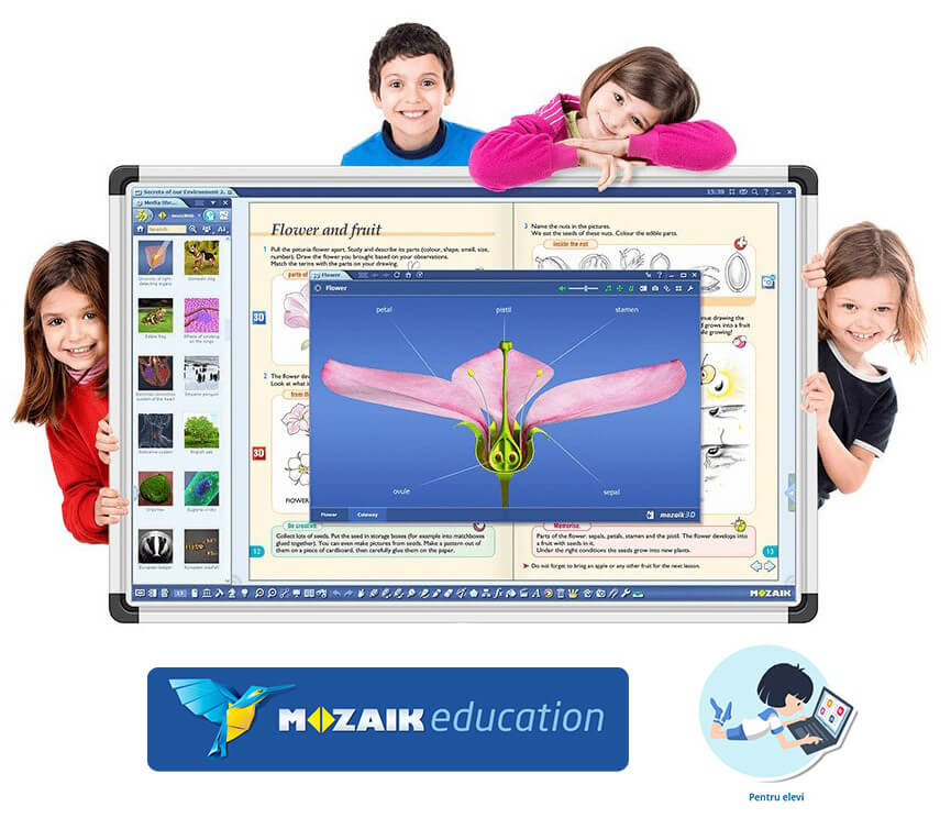 Software Mozaik Student , lectii interactive in timp real, licenta 1 / 1an