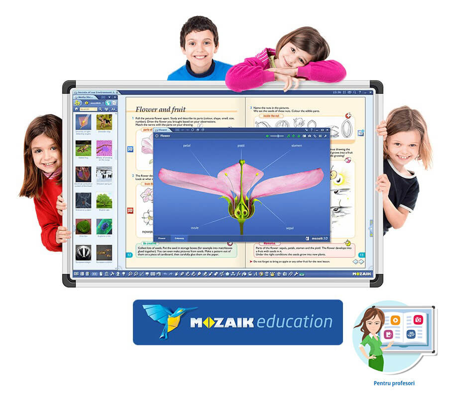 Software Mozaik Teacher , lectii interactive in timp real, licenta 1 / 1 an