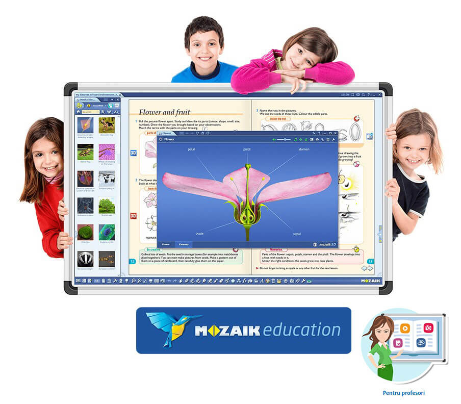 Software Mozaik Teacher , lectii interactive in timp real, licenta 1 / 3 ani